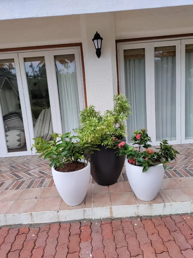Round planters at an entrance