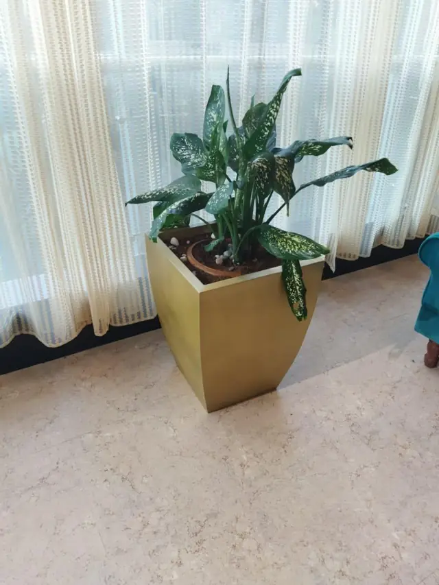 Gold tapered FRP planter
