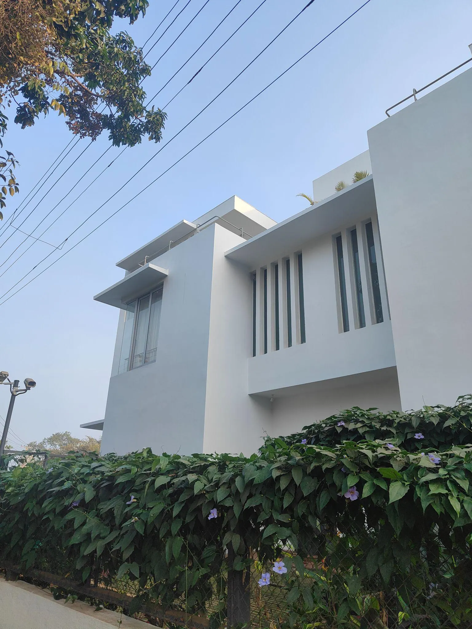 Vianaar Homes 'La Zorita' — Modernist Villa Window Canopies
