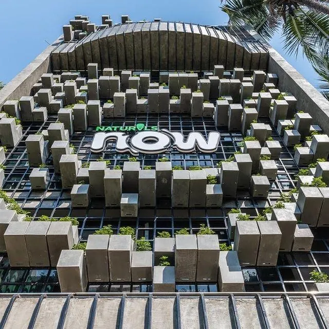 Square & Rectangular Facade Planters — Naturals Now