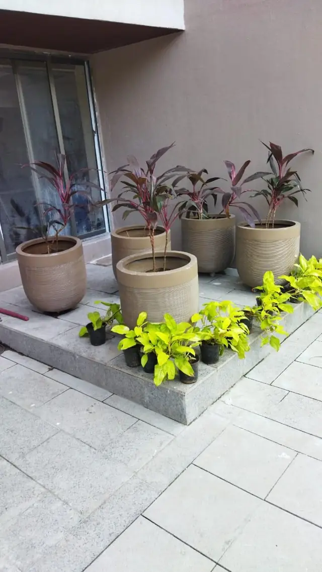 Milano Round Planters with Wheels — Kalpataru — Woodsville